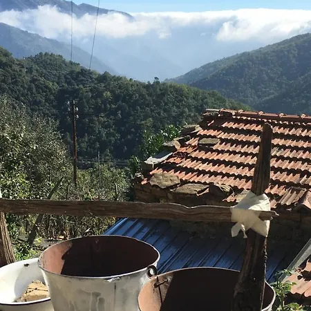 Rural House