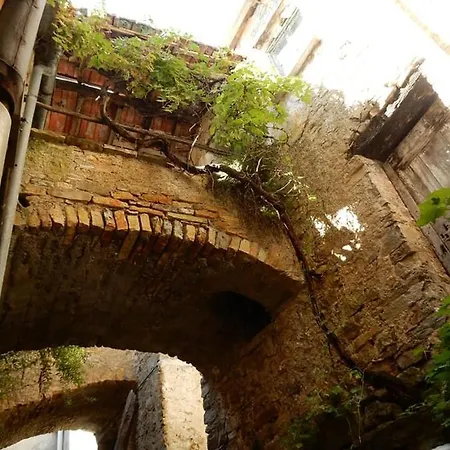 Nyaraló Rural House